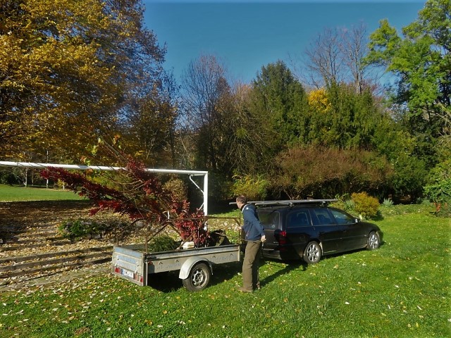 Arboretum 002