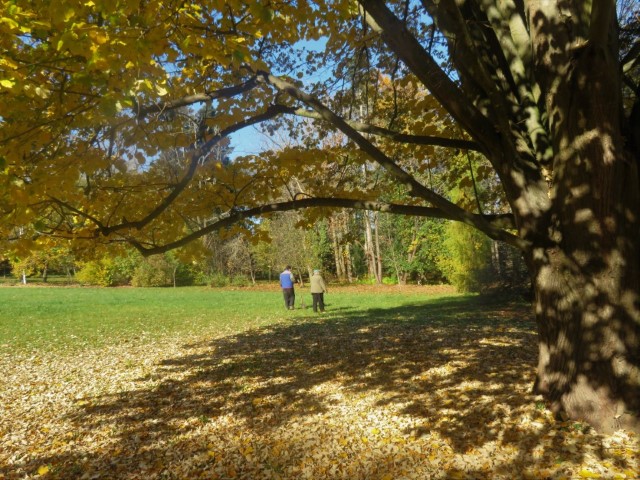 Arboretum 003