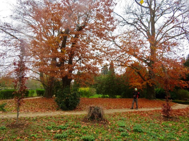 Arboretum 007