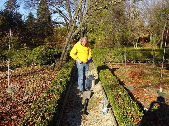 Arboretum1231 008