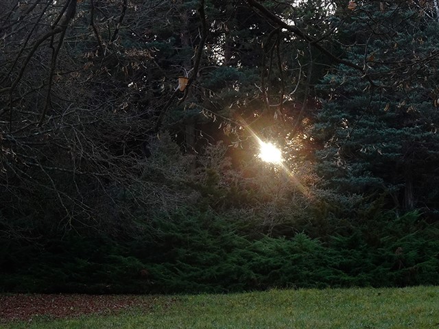 Arboretum1231 014