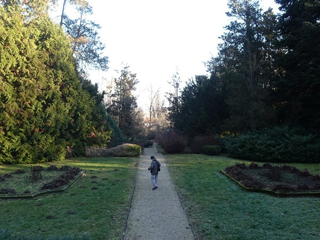 Arboretum1231 022