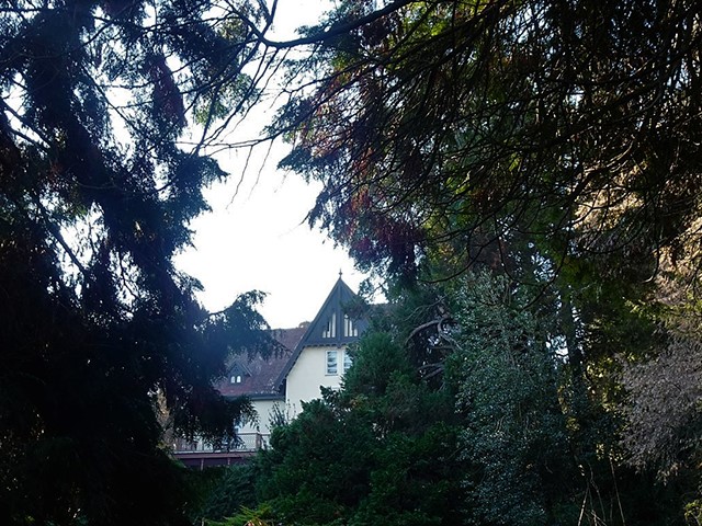 Arboretum1231 023