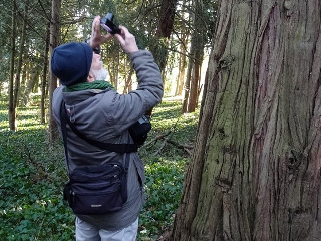 Arboretum1231 027