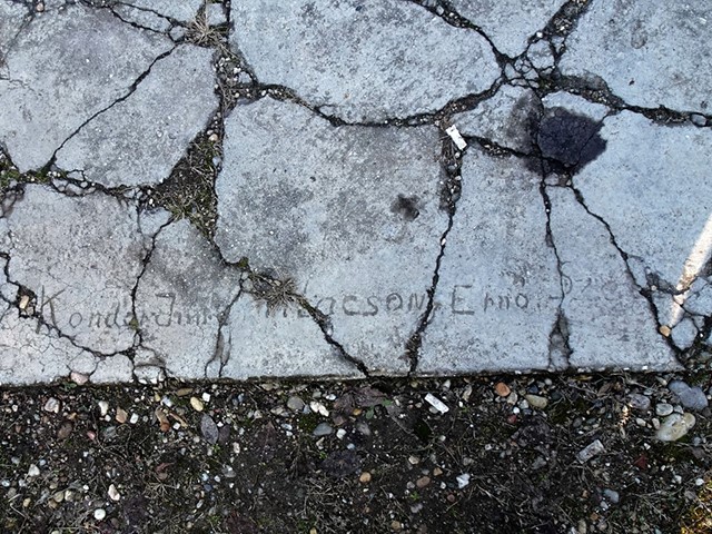 Arboretum1231 029