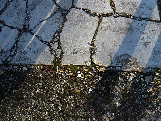 Arboretum1231 030