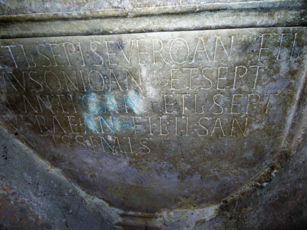 IMG 0133
