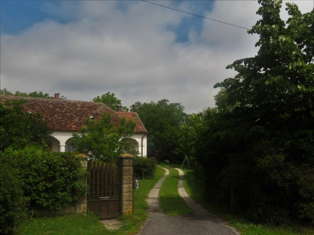 20200611 009