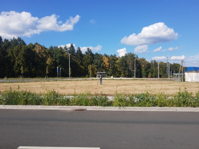 Terepszemle az Avar ucában