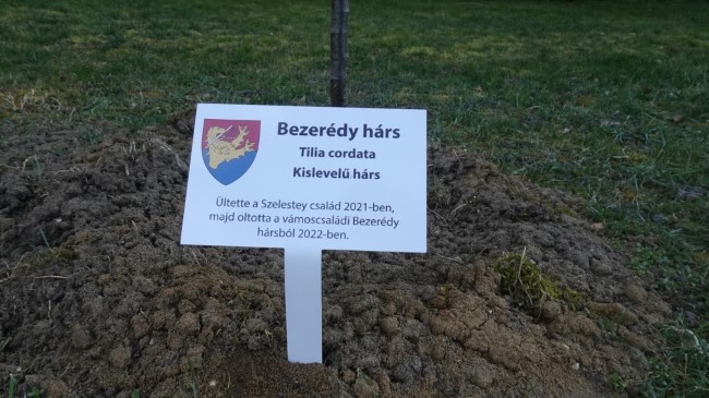 Bezerédy hárs