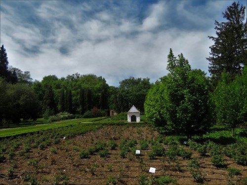 Szelestei Arborétum Szelestei Arborétum