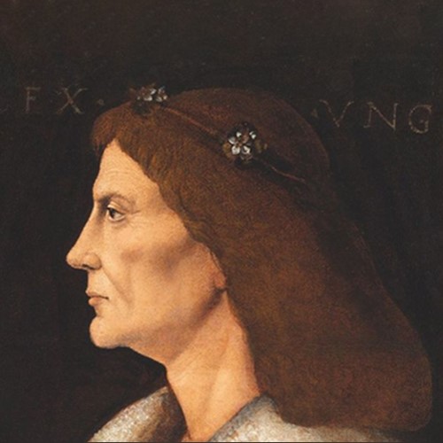 I. Mátyás magyar királlyá választása 1464. január 24.