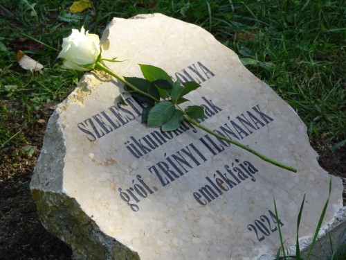 Alsószelestei Szelestey Orsolya