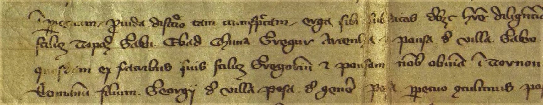 Az 1221-es oklevél átirata, második sorban Ebed a Niczkyek, Chuna a Szelesteyek őse
