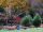 Arboretum 001