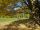 Arboretum 003