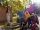 Arboretum1231 009