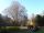 Arboretum1231 010